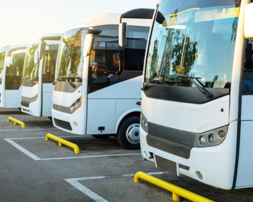 tourist-white-buses-parking-sunrise-summer-auto-tourism